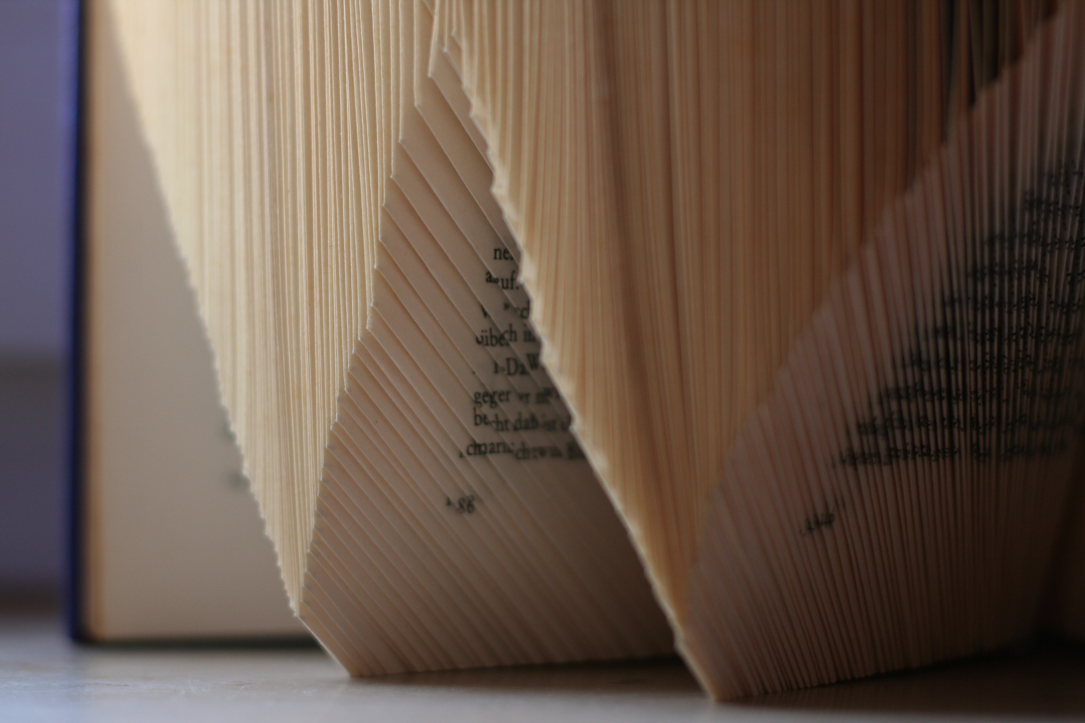 Herzbuch Detail