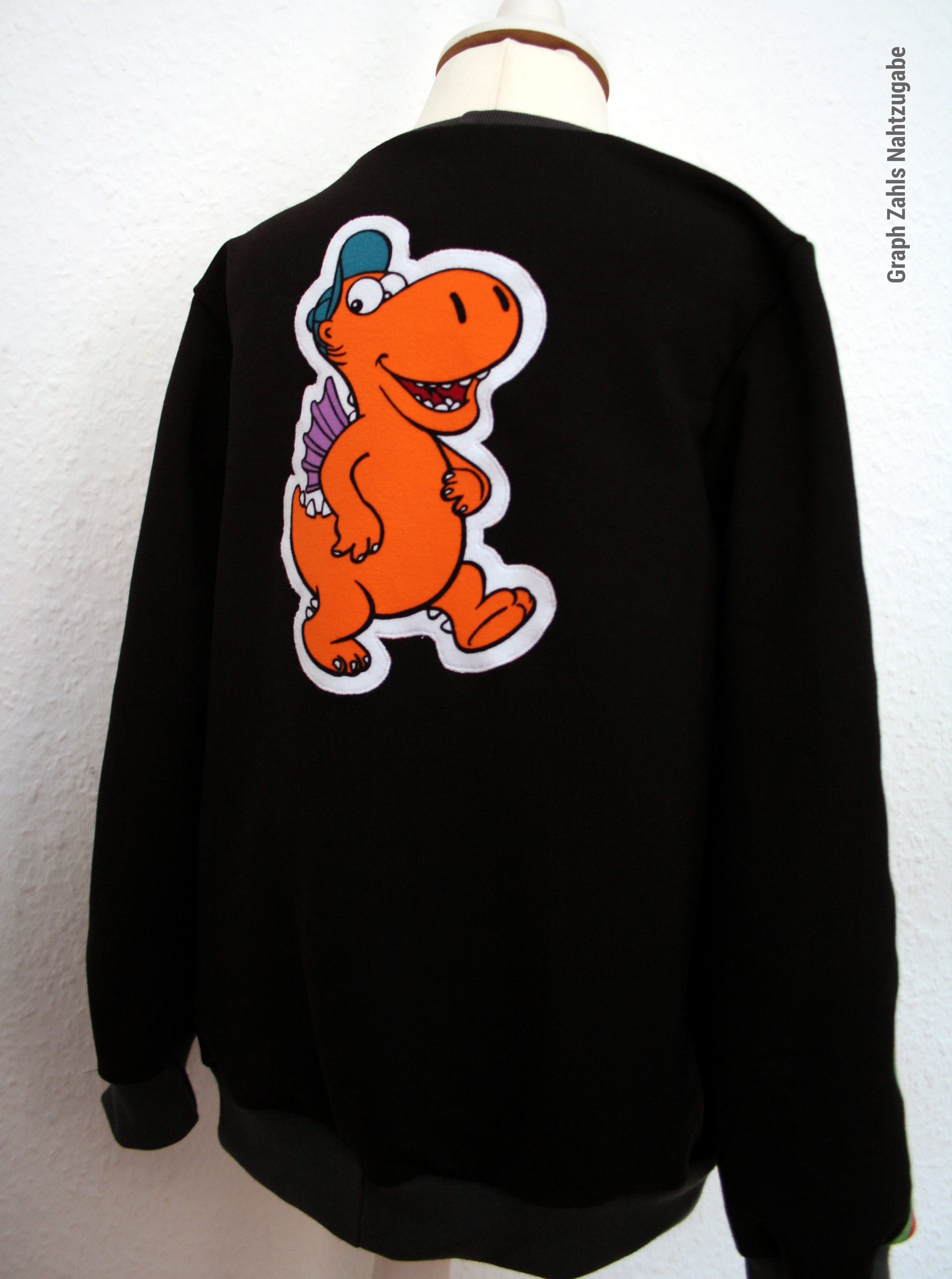 Pullover hinten